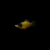 Diseño sin título (2) PLATY ABEJA