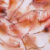 LATA DE ARTEMIA MACKAY LATA NEGRA 454 G
