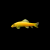 Come algas albino1 Come algas albino