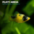 Platyabeja2 PLATY ABEJA