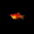 Platybalonrojo1 PLATY BALÓN ROJO