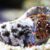 BlueLegHermitCrab2 Electric Blue Hermit Crab