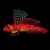 Ruby Red Dragonet