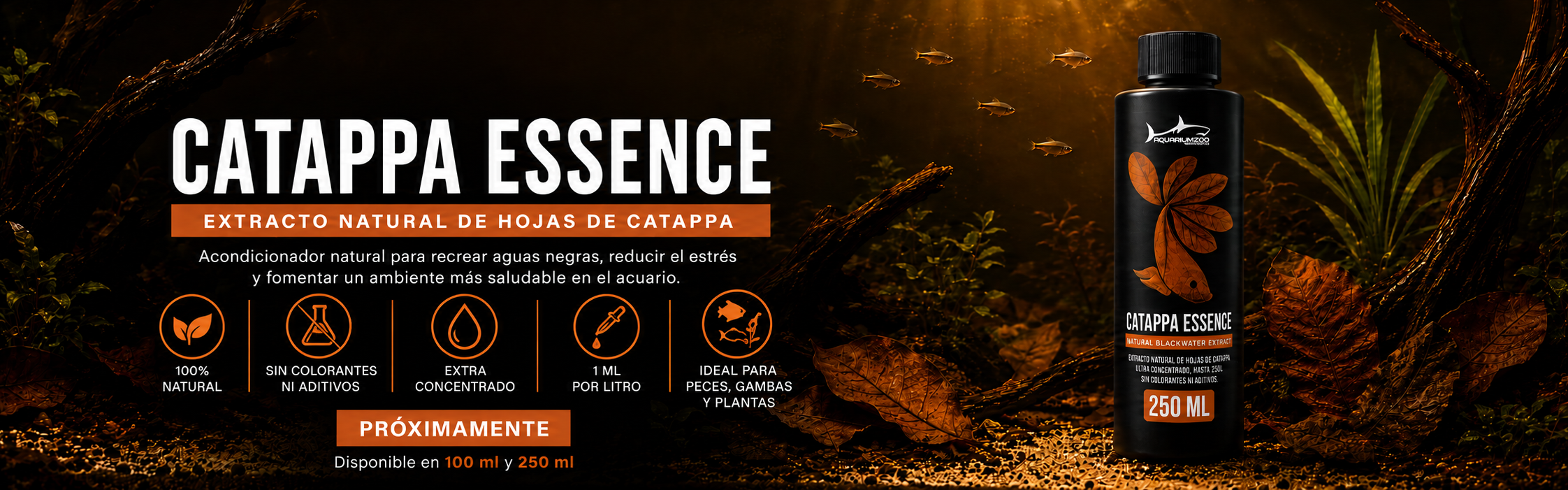 Banner Catappa Essence