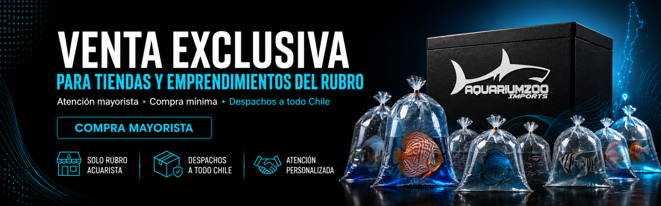 Banner Catalogo